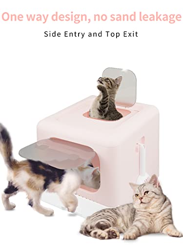 FAYDUDU Lettiera Gatto Chiusa Grande XXL Toilette