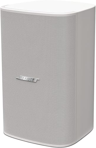 Bose Professional DesignMax DM8SE Passive Speaker - White