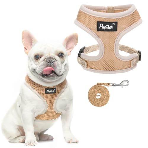PUPTECK Small Dog Harness and Leash Set No Pull for XS XXS Sized Dogs Puppy