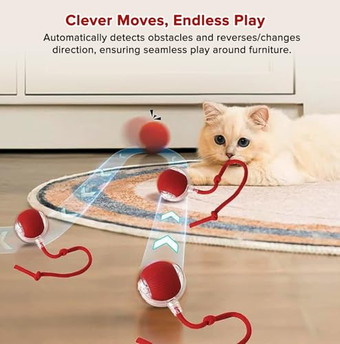 Interactive Cat Toy Ball with Code ZHPNJRQS - $7.78 - Image 4