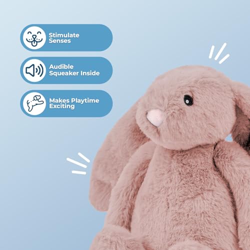 Image of Best Pet Supplies Interactive Squeaky Dog Chew Toy, Ideal Dog Toys for Chewers, Small, Medium & Large Dogs, and Fetch Lovers - Bunny (Mauve), Medium