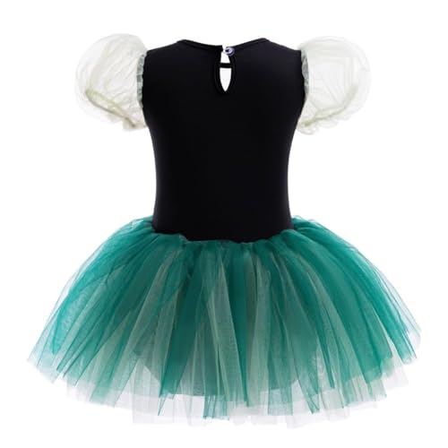 Lito Angels Medieval Ballet Dance Leotard with Tutu Skirts Ballerina Fancy Dress Up Costume for Kids Girls Age 2-3 Years, Green - Image 2