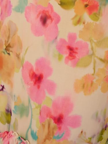 Adrianna Papell Women's Printed Chiffon Maxi Dress3