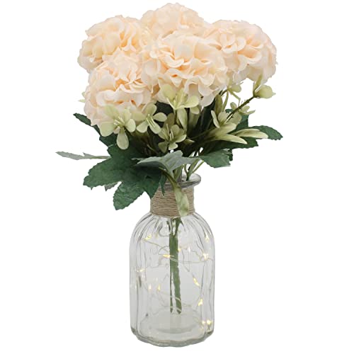 Jarrones Cristal Pequeños para Flores Marca 8around