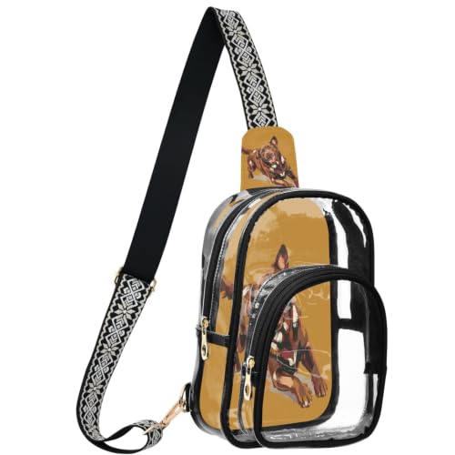 Mochila transparente linqin de poliéster ideal para entrar a eventos todo el año 2