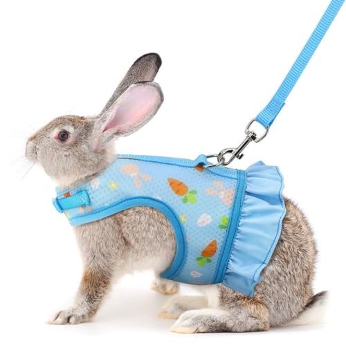 u[rbgn[lXƃ[VZbgAGXP[vvv[toj[n[lXƃ[VA킢oj[xXgX^btANZT[-tFbgqL̎qɂKĂ܂(SႢETM)