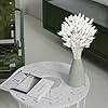 120 PCS White Dried Pampas Grass Decor, 17-inch Pompas Floral, Dry Flowers for Decoration, Pampas Grass in Bulk Tall, White Bunny Tails Dried Flowers for Boho Wedding #1