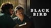 Black Bird #1