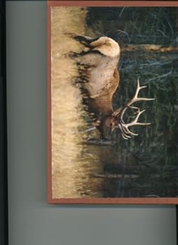 Hardcover Antlers Afield Book