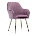Dining Chair Prosty, kuty żelazny krzesło, nowoczesny taboret do makijażu, ergonomicznie ukształtowany, miękkie oparcie do restauracji, biura, lady, rodziny