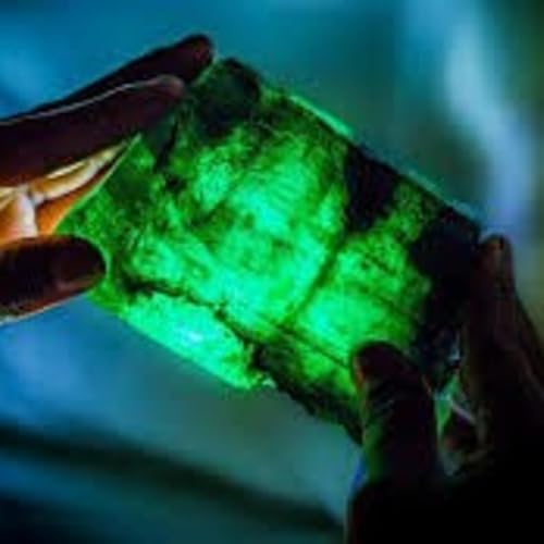 Điều bất ngờ từ truyện cổ t&iacute;ch "Vi&ecirc;n ngọc ước v&agrave; con quạ trả ơn"