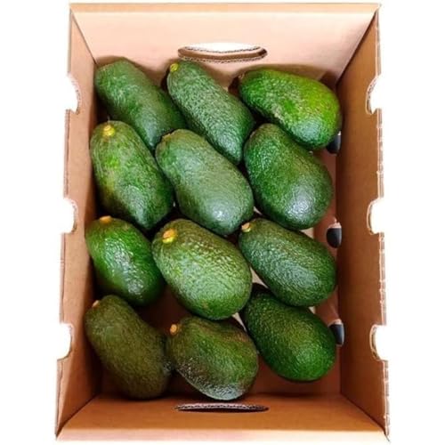 Aguacate Hass caja 4 kg | Compra Aguacates Hass frescos de producción local en Castellón (España). Directos del agricultor, cultivo sostenible sin químicos ni pesticidas