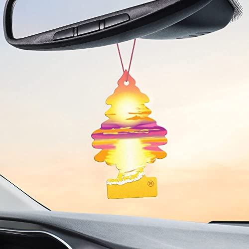 Image of Little Trees Car Air Freshener 6-Pack (Sunset Beach)