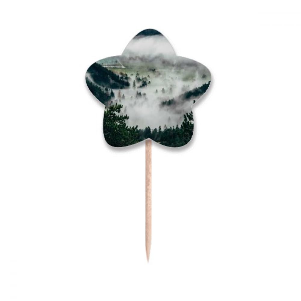 Drapeaux cure-dents nature et étoiles pour un anniversaire thématique réussi