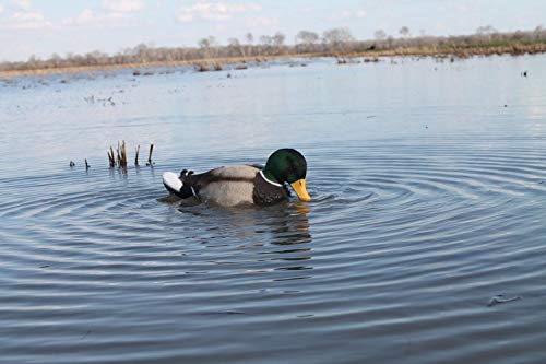 Leurres de chasse au canard MOJO Outdoors contre appelants immobiles