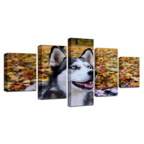 Impression sur toile intissée 5 pièces husky art moderne décoration
