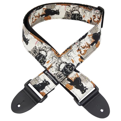 Daiking���ЍH�[���M�^�[�X�g���b�v���W�L�̕��u���E���J���[