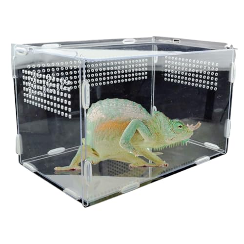 Mini maison pour animaux de compagnie évitant les fuites d'insectes
