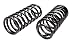 Moog CC835 Coil Spring Set