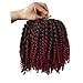 Flyteng Marlybob Kinky Curl Crochet Braids Hair Extensions 6 packs/lot Synthetic Crochet Braiding Hair For Women Tbug…