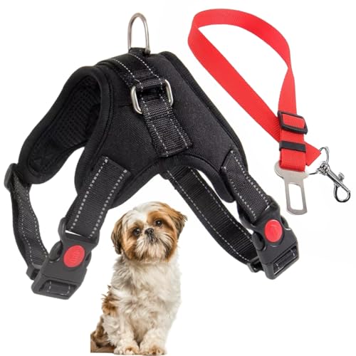 Arnés Ajustable para Perro Pequeño con Correa de Seguridad para el Coche. Arnes Antitirones, Reforzado. Seguro y Cómodo. Ideales para tu Mascota. (Small-R)