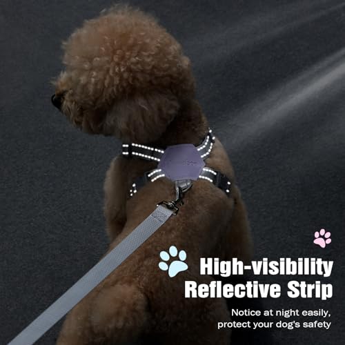 Pawaboo Hundegeschirr mit Hundeleine Set, X-Rahmen Verstellbares Anti Zug Anti-Erstickung Hund Brustgeschirr für Kleine, Mittelgroße Hunde & Welpen, Hundeweste mit Leine, S, Violette Gänseblume