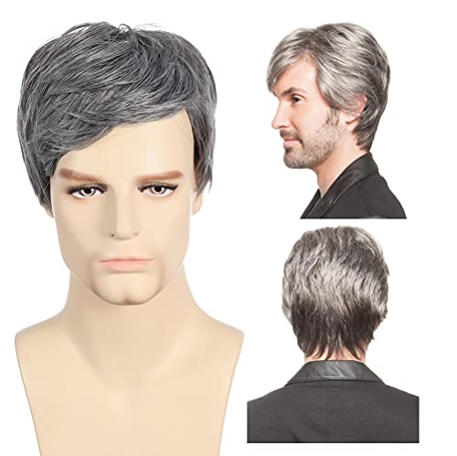 BERON Silver Gray Wig Men Wig Short Straight Wig Silver Gray boys Male Wig Heat Resistant Synthetic Cosplay Daily Wear Wig (Silver Gray)