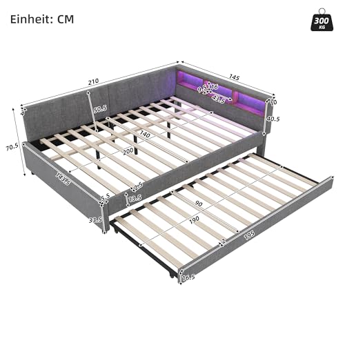 RIAZOS Polsterbett Schlafsofa 140x200, Doppelbett mit Ausziehbett, Daybett mit LED Staufach, Tagesbett mit USB Typ C Ladefunktion, Jugendbett Kinderbett Gästebett, Leinen, ohne Matratze, Grau