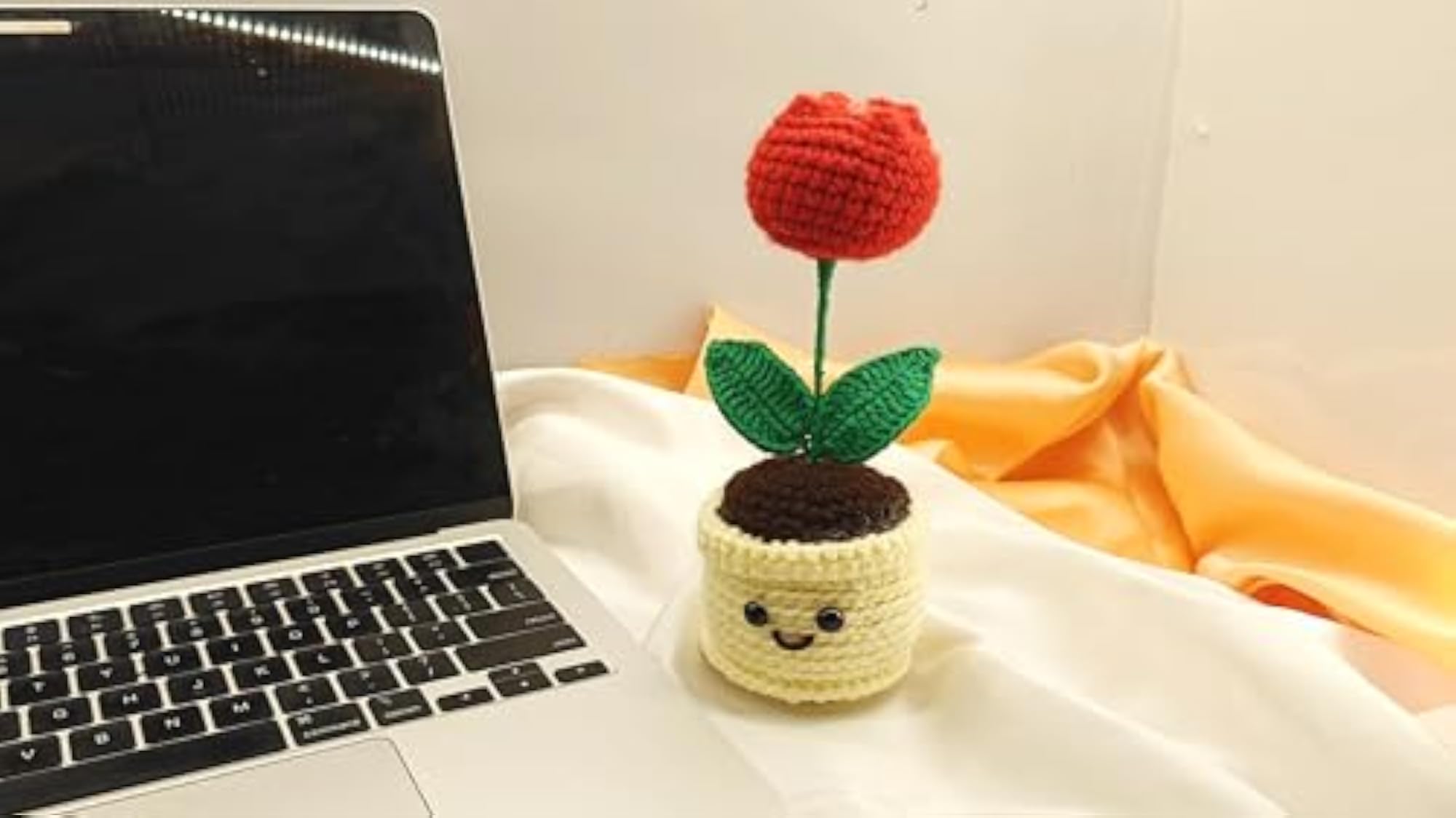 Red Tulip Mini Pot with Smiley Face