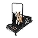 Astrivia Dog Treadmill for Medium Dogs Self Propelled, Dog Tred Treadmill Medium Dogs, Treadmill Run Walk Slatmill for Dogs Health and Exercise, Compact & Durable Pacer (Black)