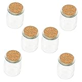 Ciieeo 6Sätze Dekorative Glasflaschen mit Korkdeckel für Pudding Milch und Snacks Lagerflaschen für Kreative Aufbewahrung und Dekoration und Garten