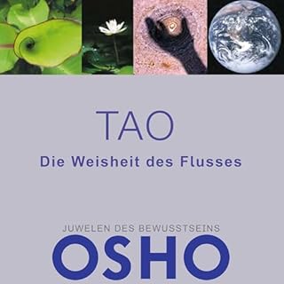 Tao (German Edition) cover art