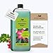 Produktbild Konfitee Wüstenrosen Dünger Flora Boost 1000ml I Für bis zu 200L Gießwasser I Langzeit Blumendünger für Rosen I Flüssiger Blatt- & Wurzeldünger I 100% natürlicher Pflanzendünger