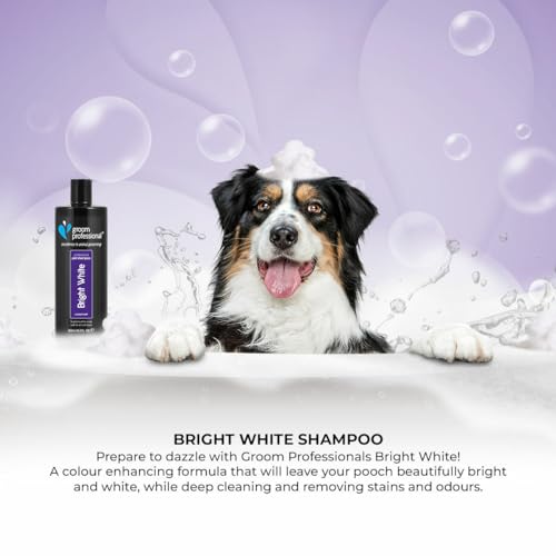 GROOM PROFESSIONAL Bright White Hundeshampoo Weißes Fell - Tiefenreinigendes Shampoo für Hunde - Hellt Weißes Fell Auf - Aufhellendes Shampoo - Entfernt Flecken und Gerüche, 4 Liter