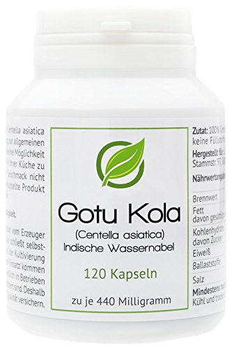 Gotu Kola (Centella asiatica) 120 Cápsulas en caja para preservar el aroma por cada 440 miligramos