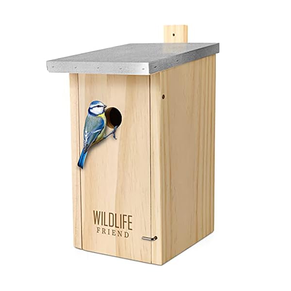 WILDLIFE FRIEND I Nistkasten mit Metalldach nach NABU aus Massivholz für Blaumeisen - Wetterfest, Unbehandelt…