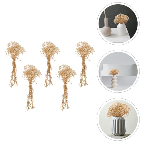 Ramo de flores secas Gypsophila natural 5 piezas miniatura 7