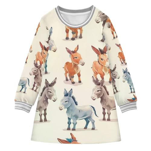 Girls Sweatshirt Dress Pullover Long Sleeve Sweater Dress Casual Toddler Girl Dress 2-8 Years