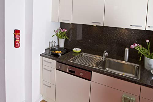 Prymos 631_21B Feuerlöscher-Spray Universal 5A/21B/15F - Image 3