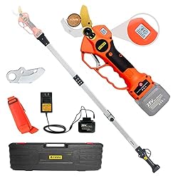 electric pruning shears with extension pole