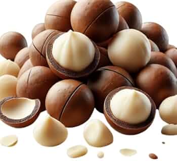 Amazon.co.jp: バニラマカダミアナッツ(保存に便利なチャック付き袋