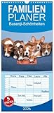 Familienplaner 2026 - Basenji-Schönheiten mit 5 Spalten (Wandkalender, 21 cm x 45 cm), CALVENDO: Wunderschöne Basenjis, groß und klein (CALVENDO Tiere)