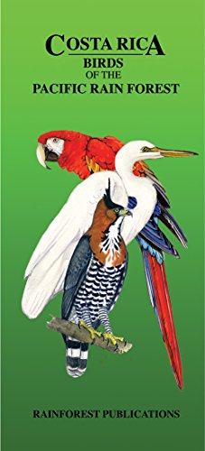 Costa Rica Pacific Rain Forest Bird Guide (Laminated Foldout Pocket Field Guide) (Tropical Wildlife Field Guide) (English and Spanish Edition)