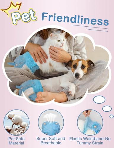 Dono Hundewindeln für Hündinnen, 10 Stück, Hunde Windeln Weiblich mit elastischem Bund, Pull-up-Hundewindeln, super saugfähig, L (34-54 cm)