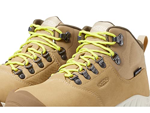 Image of KEEN NXIS Explorer Mid Waterproof