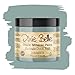 Dixie Belle Paint Company Chalk Finish Furniture Paint (Vintage Duck Egg) (16oz)
