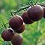 Black Cherry