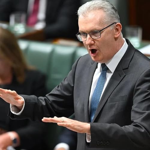 Home Affairs Minister says Government can't stop so-called ISIS brides coming to Australia