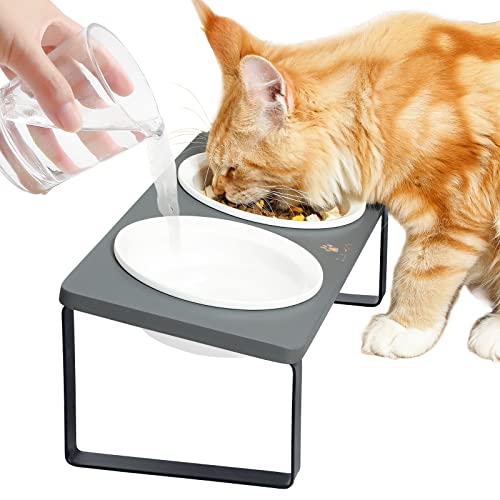 Sunhoo Ceramic Elevated Cat Bowls Raised Puppy Dishes for Food and Water Tilted Wooden Stand for Indoor Cats 5.5 inch Wide Double Dish Orthopedic Reduces Vomiting (Grey) by Sunhoo - Used condition - US$21.80