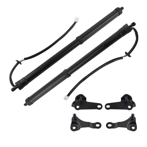 Coffre bloqué ? Support hayon electrique Lexus NX 6892079016